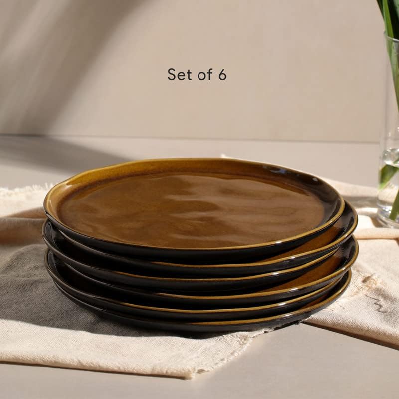 Aparelho de Jantar Cores Radiantes – (com Brinde) | Serve 06 Pessoas