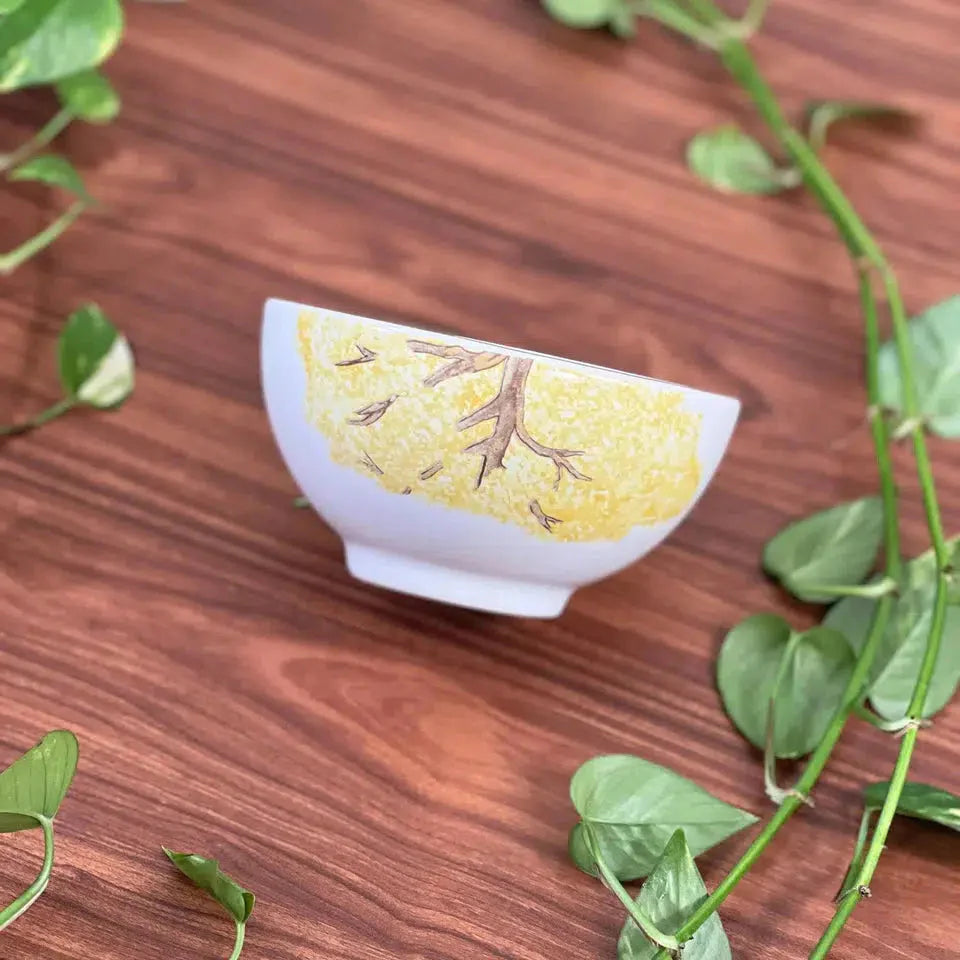 Aparelho de Jantar Ypê – 60 peças (com Brinde) | Serve 06 Pessoas